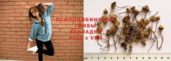 не бодяженный Верея